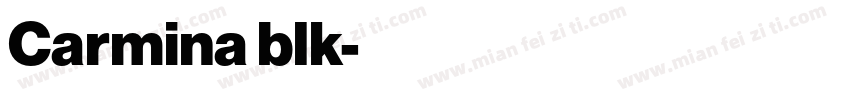 Carmina blk字体转换
